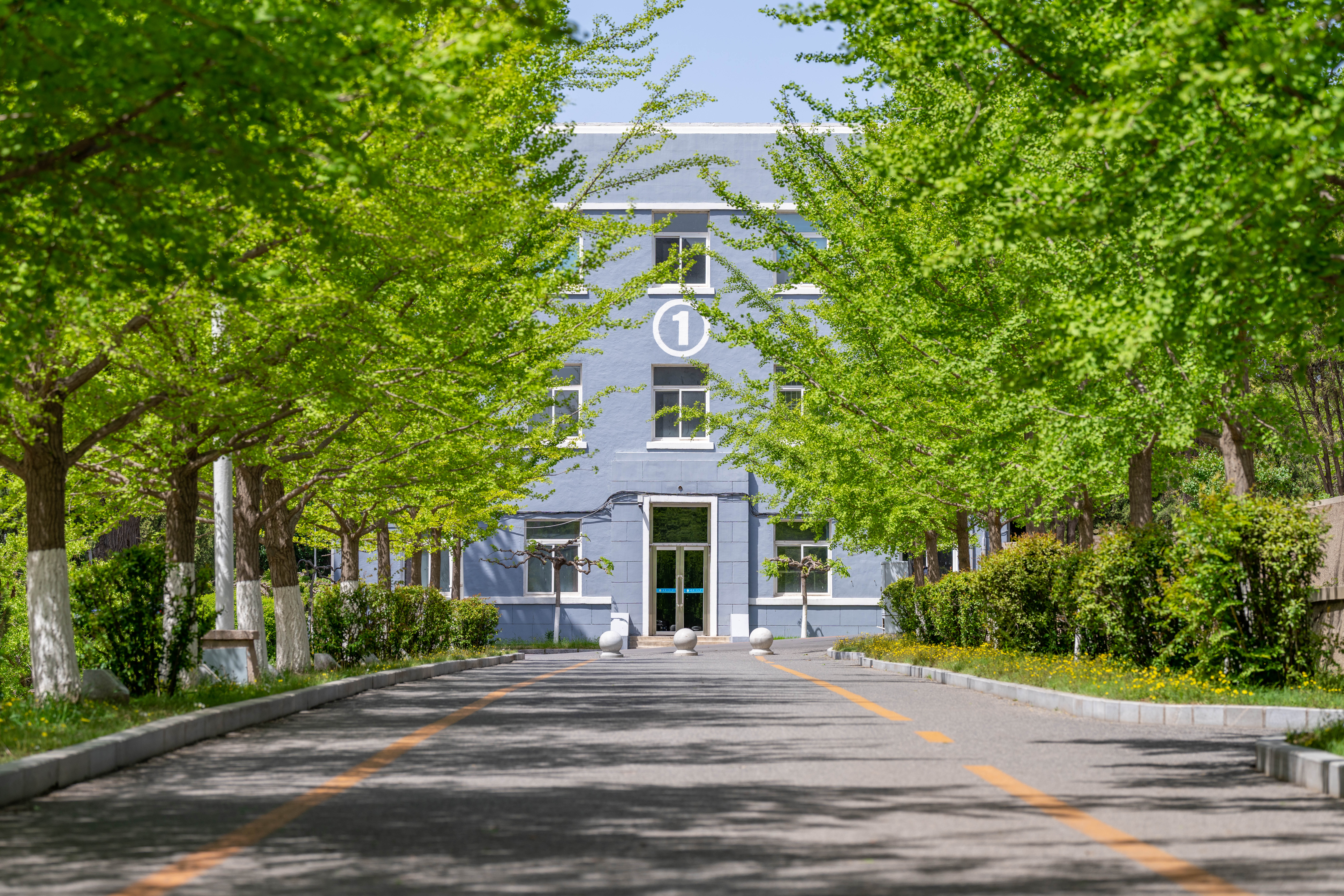 辽宁工业大学春季校园风景